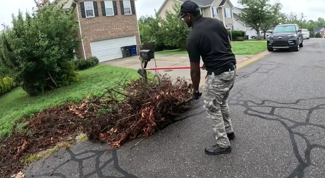 Junk removal worker hauling tree branches and yard waste from a Miami residential curb